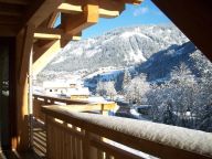 Chalet Les Romains-23