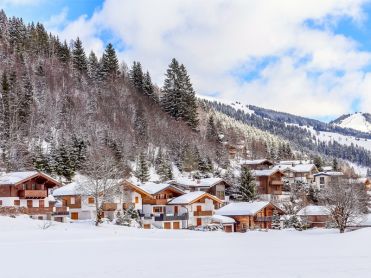 Skigebied Saalbach-Hinterglemm-Leogang-Fieberbrunn 