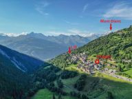 Chalet Perle des Alpes-19