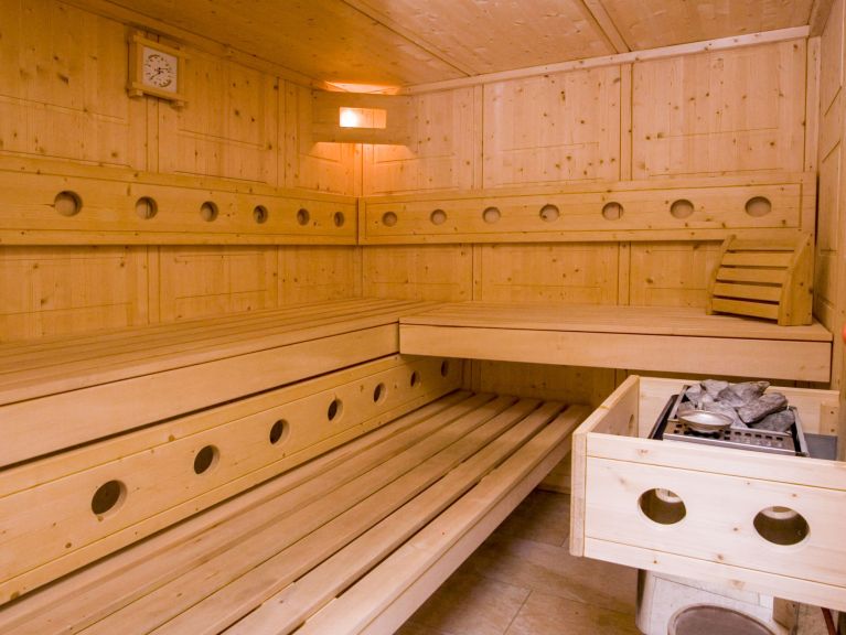 Chalet Alpendorf Dachstein-West Gamsblume