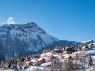 Chalet-appartement Résidence Les Alpages du Corbier studio-17