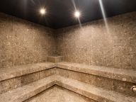 Chalet-appartement Das Neukirchen Maisonette Penthouse Typ 3b - met privé sauna-50