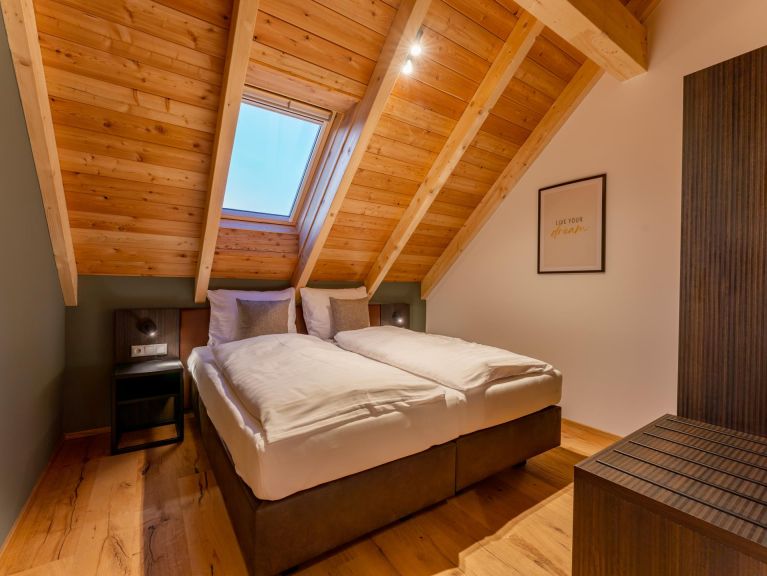 Chalet Mountain Chalet Aquarius 5A