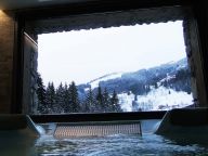 Chalet Adelphine met privé-whirlpool-16