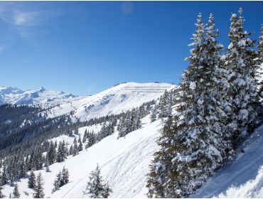 Skidorp Gelegen bij een meer en met diverse après-ski mogelijkheden-4