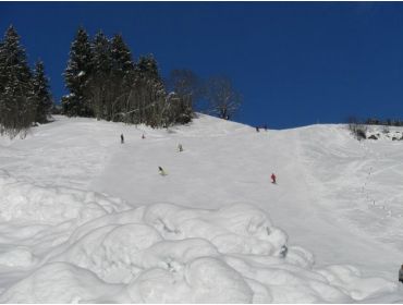 Skidorp Klein bergdorpje nabij Saalbach-3