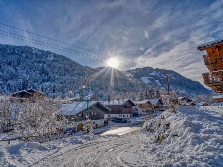 Chalet Alpina