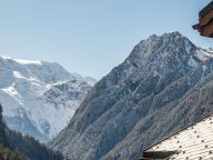 Chalet-appartement Les Alpages de Champagny Appartement A31-21