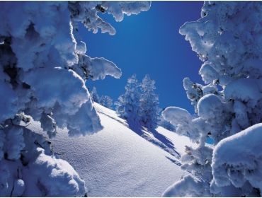 Skidorp Populair en veelzijdig wintersportoord met veel mogelijkheden-6