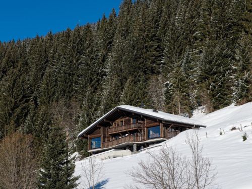 Chalet Chaletneuf du Tenne met privé-zwembad, zondag t/m zondag - 12 personen in Châtel - Les Portes du Soleil, Frankrijk foto 6329319