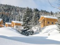 Chalet Alpendorf Dachstein-West Gamsblume-21