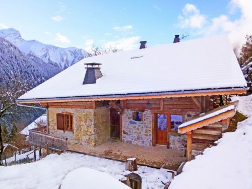 Chalet Petit Châtel met buiten-whirlpool - 10 personen