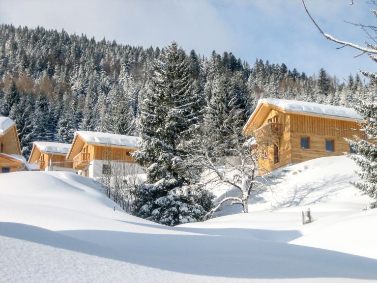 Chalet Alpendorf Dachstein-West Gamsblume