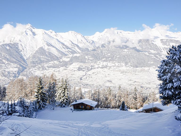 Chalet Les Pivoines