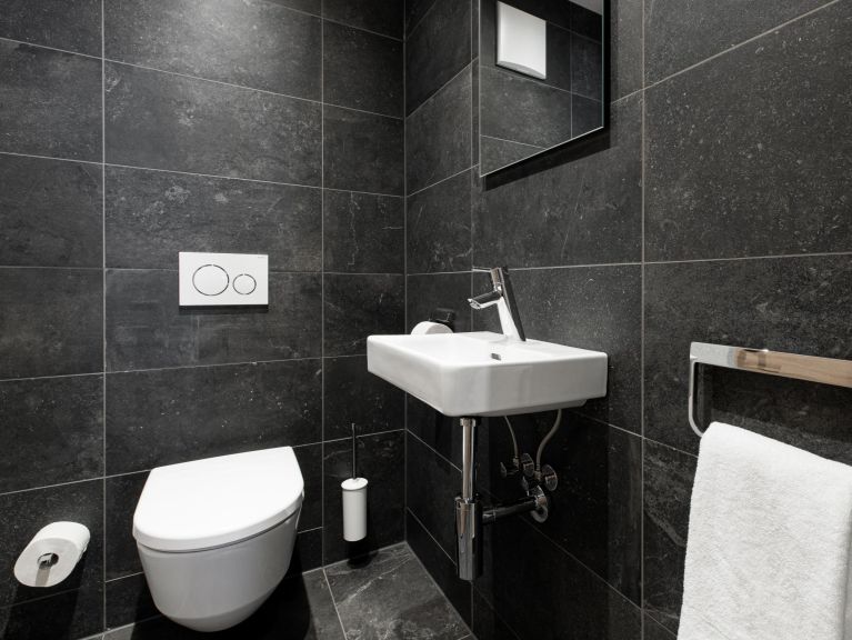Chalet-appartement Das Neukirchen Penthouse Type 2a
