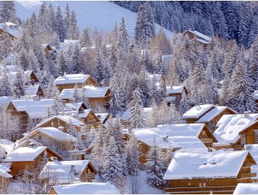 Skidorp Wintersportdorp gelegen midden tussen de pistes en skiliften-3