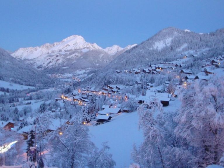 Chalet-appartement La Puce