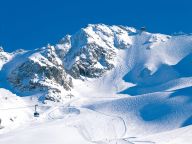 Chalet Rosablanche-28