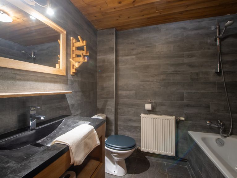 Appartement Les Chalets du Thorens