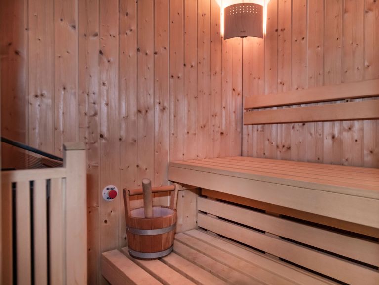 Appartement Gerlos Alpine Estate Type 3A met sauna
