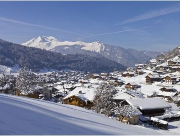 Skidorp Authentiek en levendig wintersportdorp bij Les Portes du Soleil-8