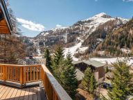 Chalet Les Sources de La Davie-21