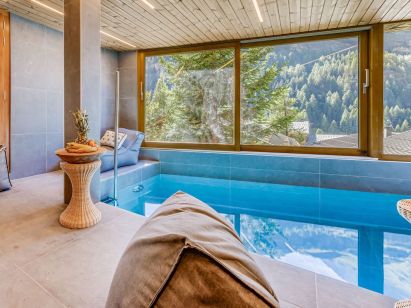 Chalet Les Sources de La Davie-2