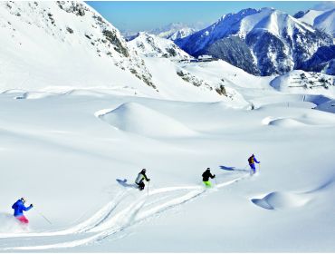 Skidorp Modern wintersportdorp met kuurvoorzieningen en ruim cultureel aanbod-2