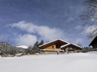 Chalet Vuargnes met privé-sauna en zwembad-30