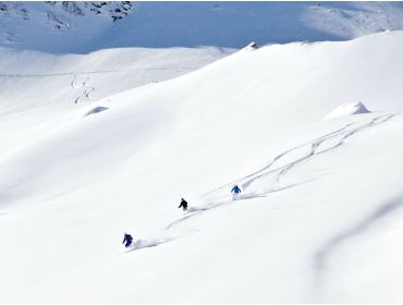 Skidorp Modern wintersportdorp met kuurvoorzieningen en ruim cultureel aanbod-3