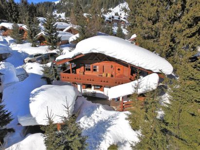 Chalet-appartement Merlenhütte Top OG-1