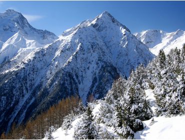 Skidorp Vriendelijk dorpje bij skigebied Les Deux Alpes-6